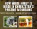 How White Honey Is Made in Kyrgyzstan’s Pristine Mountains